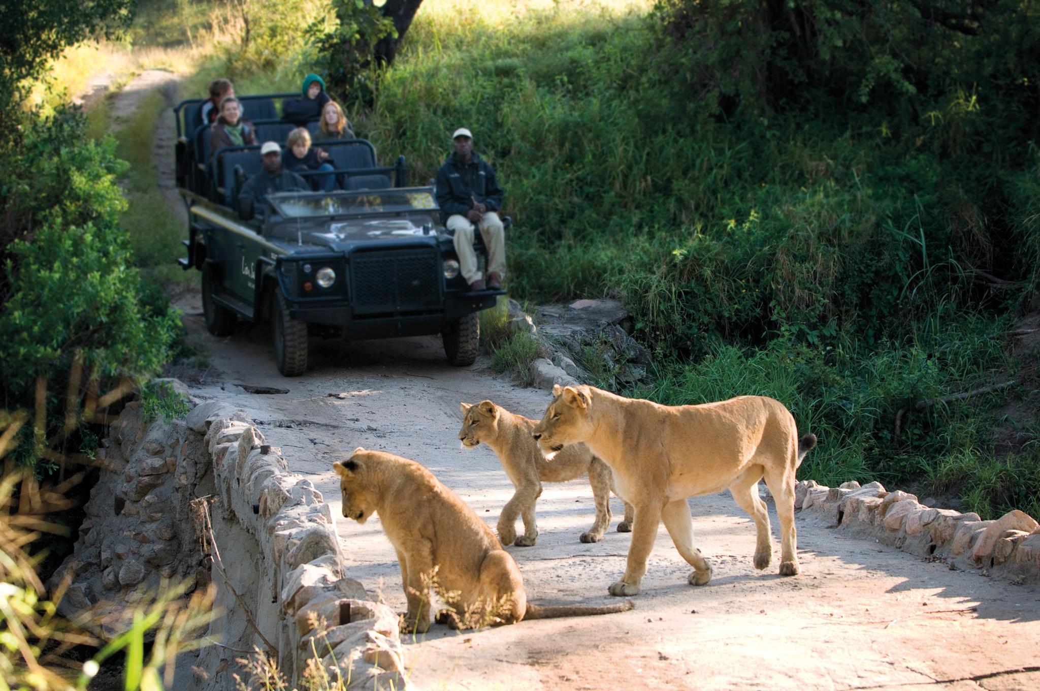 Lion Sands Narina Lodge サビ・サンド動物保護区 エクステリア 写真