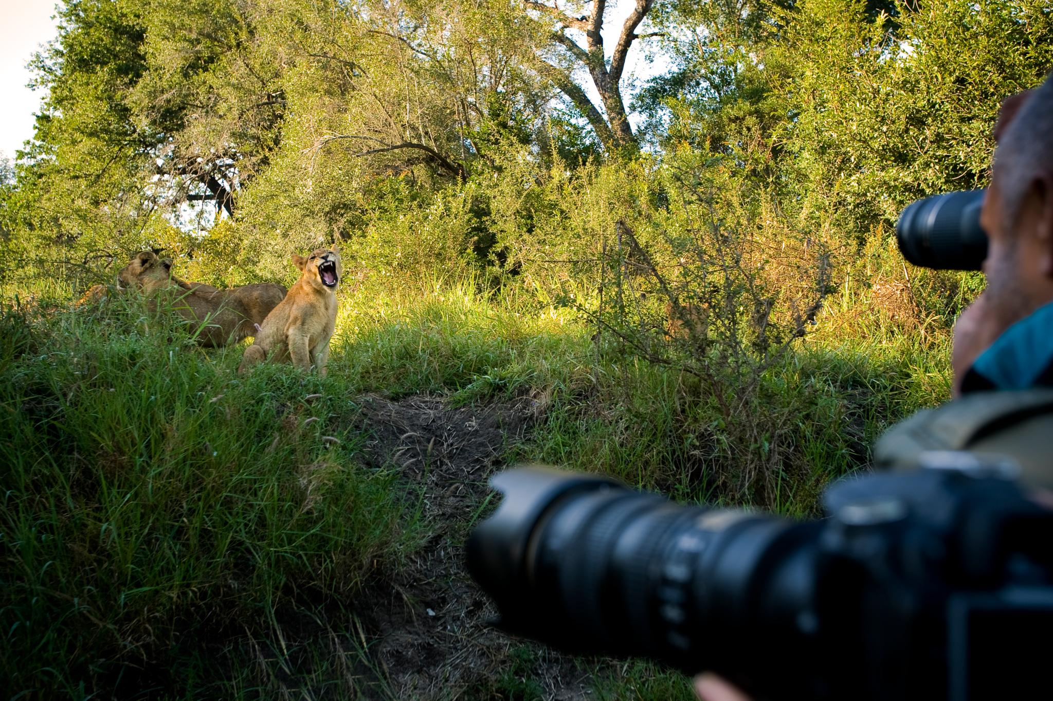 Lion Sands Narina Lodge サビ・サンド動物保護区 エクステリア 写真