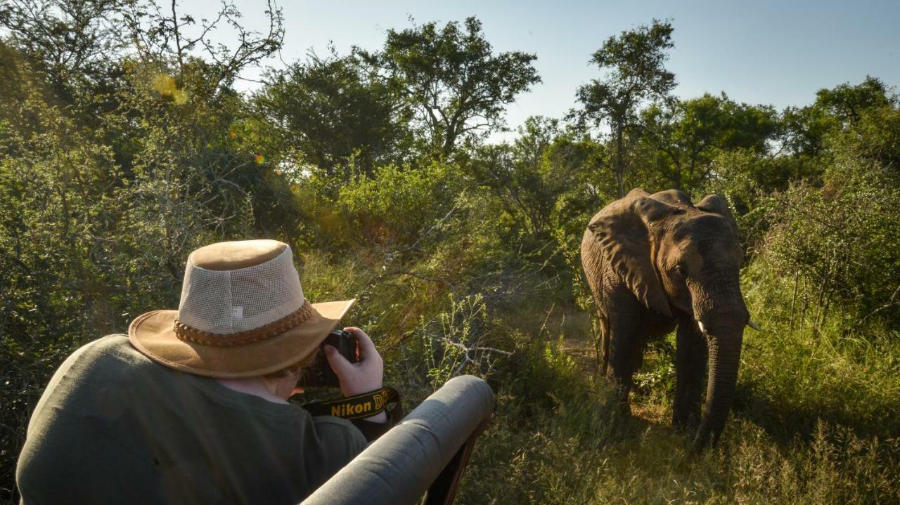 Lion Sands Narina Lodge サビ・サンド動物保護区 エクステリア 写真